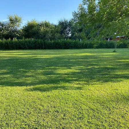 Apartament Swan Sándorfalva