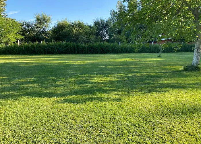 Apartament Swan Sándorfalva
